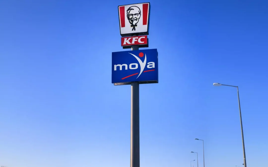 Kilka słów o jakości i trwałości pylonów Graffico