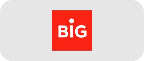 Logo BIG